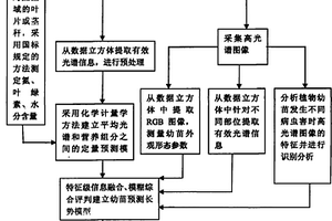 植物幼苗綜合性狀活體無(wú)損檢測(cè)方法