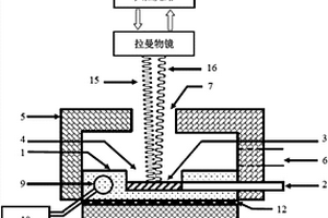 基于變溫拉曼技術(shù)的有機物高效無損檢測裝置