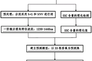 香蕉可溶性固形物含量的可見/近紅外光譜無損檢測方法