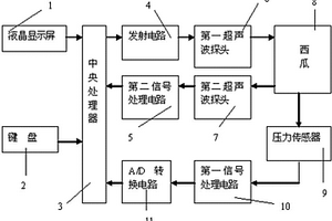 西瓜成熟度超聲無損檢測裝置