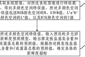 魚體新鮮度無損檢測方法及裝置