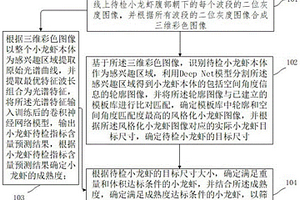 小龍蝦品質(zhì)無損檢測方法及裝置