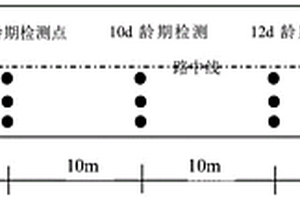 半剛性基層強度和板體性無損檢測與質(zhì)量評價的方法