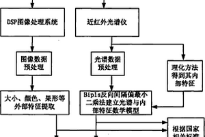 水果內(nèi)外綜合品質(zhì)在線無損檢測方法及裝置