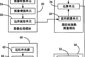 基于近紅外光譜及顯微脂肪細(xì)胞數(shù)據(jù)融合的豬肉新鮮度無(wú)損檢測(cè)技術(shù)