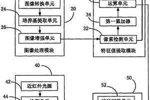 基于近紅外光譜及顯微菌斑面積數(shù)據(jù)融合的豬肉新鮮度無(wú)損檢測(cè)技術(shù)