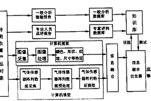 基于電子視覺和嗅覺融合技術(shù)的農(nóng)畜產(chǎn)品無損檢測方法及其裝置