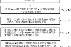 基于果徑無損觀測的番茄果實糖分高效預(yù)測改進(jìn)方法