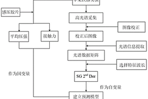 基于高光譜的蘋果沖擊后損傷參數(shù)的無(wú)損預(yù)測(cè)方法