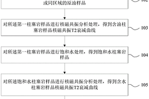 柱塞巖樣含油飽和度無損測量方法及裝置