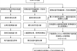 基于顏色和深度信息的穴盤苗長勢無損監(jiān)測方法和裝置