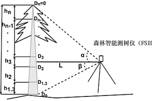 適用于中小型喬木的單株立木材積無損測定方法