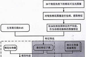 基于圖像分析的多品種全生育期棉花生物量無損測量方法