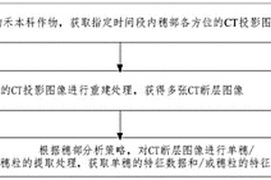 禾本科作物穗部生長發(fā)育的無損監(jiān)測方法