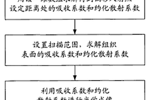 對人體皮膚病變組織進(jìn)行無損光學(xué)常數(shù)成像的裝置和方法