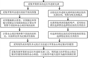 蘋果水心病的透射光譜無損定量評價方法