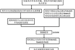 近紅外多光譜成像快速無損評價(jià)魚肉脂肪氧化程度的方法