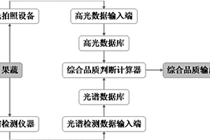 高光拍照和無損光譜掃描判斷果蔬品質(zhì)的系統(tǒng)