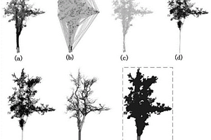 無(wú)損估算立木材積的低成本樹(shù)木結(jié)構(gòu)自動(dòng)重建方法