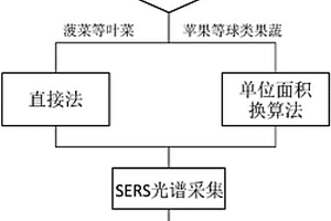 果蔬農(nóng)藥殘留的無損檢測方法