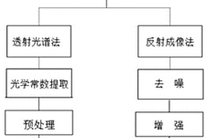 基于太赫茲光譜技術(shù)的油料作物品質(zhì)的快速無損檢測方法