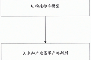 墨翠的無損產(chǎn)地判別方法及裝置