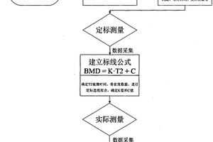 用磁共振T2弛豫時(shí)間譜分析測(cè)定骨密度的設(shè)備和方法