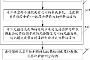 確定水果外表進行光譜圖像分析檢測所用特征波長的方法