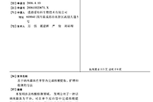 基于納米微珠在單管內(nèi)完成核酸提取、擴增和檢測的方法