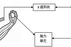 利用超聲圖像熵特性檢測(cè)肌肉疲勞進(jìn)程的系統(tǒng)及方法