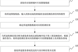 基于深度學(xué)習(xí)的柑橘黃龍病檢測(cè)方法、裝置及系統(tǒng)