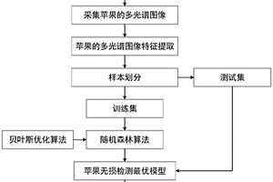 貝葉斯優(yōu)化隨機森林算法的蘋果多光譜圖像無損檢測方法