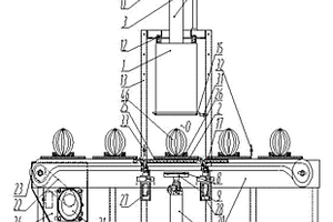 西瓜密度在線檢測(cè)方法與裝置