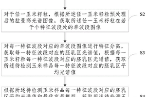 玉米籽粒中淀粉含量的檢測方法及系統(tǒng)