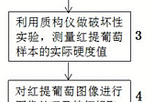 基于機器視覺的紅提葡萄硬度無損檢測方法