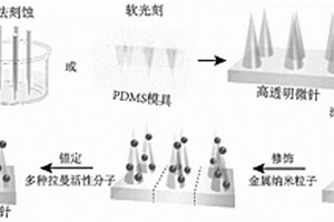 用于原位檢測(cè)炎癥環(huán)境的多參數(shù)SERS活性微針