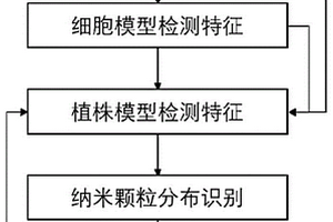 基于太赫茲光譜成像的植物體內(nèi)納米顆粒分布檢測(cè)方法