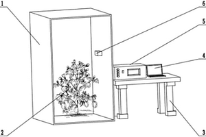 基于太赫茲光的植株水分檢測(cè)裝置