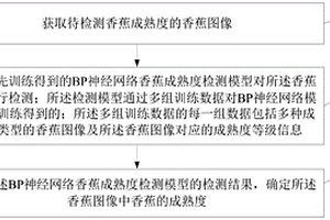 基于BP神經(jīng)網(wǎng)絡(luò)的香蕉成熟度檢測(cè)方法及裝置