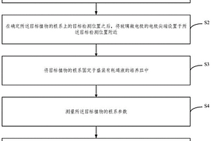 基于離子吸收動力學(xué)的離子流速檢測方法及系統(tǒng)