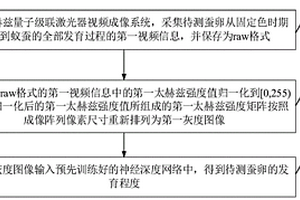 基于太赫茲視頻成像技術(shù)的蠶卵發(fā)育程度檢測(cè)方法