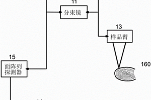 利用全像場弱相干層析成像術(shù)對身份識別的方法及結(jié)構(gòu)