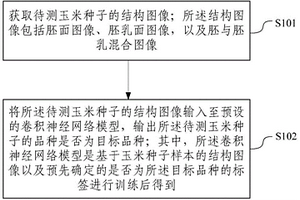 玉米種子品種真實性鑒定方法及設(shè)備