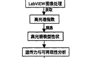 使用高光譜鑒定玉米抗旱基因的方法