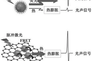 基于熒光淬滅效應(yīng)實現(xiàn)復(fù)合探針光聲信號增強的方法