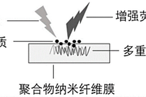 用于表面增強熒光的方法以及應(yīng)用