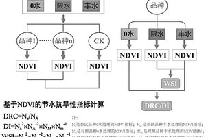 快速鑒定小麥節(jié)水抗旱性的方法