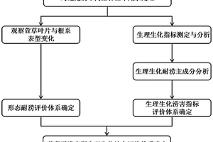 鑒定萱草耐澇性的綜合評價體系