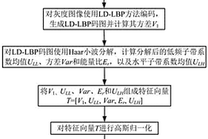 基于二次諧波圖像紋理分析的皮膚瘢痕診斷方法