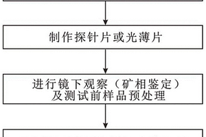 原位微區(qū)定量分析鈹含量的方法